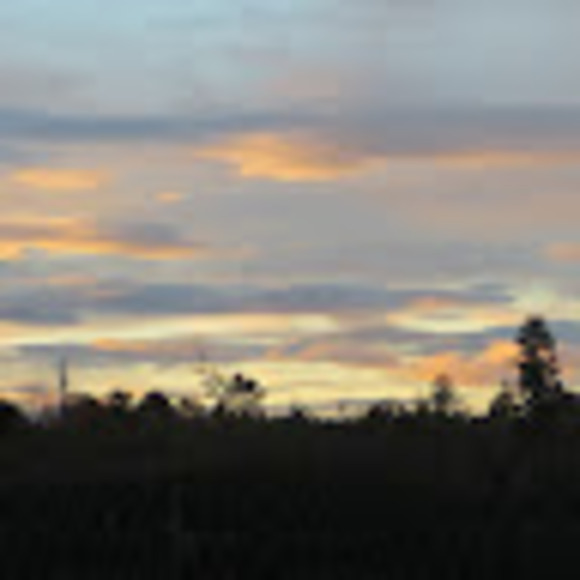 Profile Picture of Mary ann Constanzer (@mconstanzer444) on Poshmark