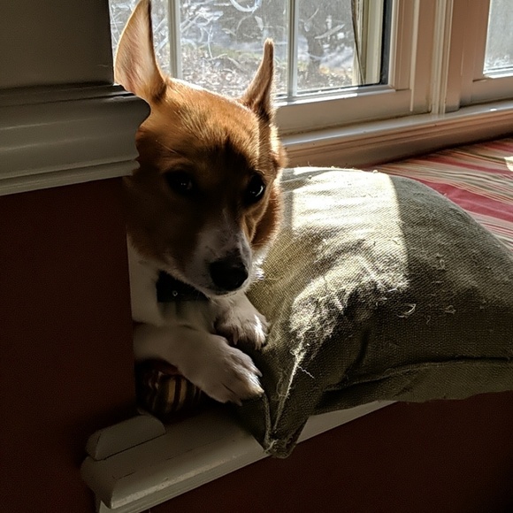 Barbara Beissert - Poshmark Profile Picture of Barbara Beissert (@bbeiss01) on Poshmark