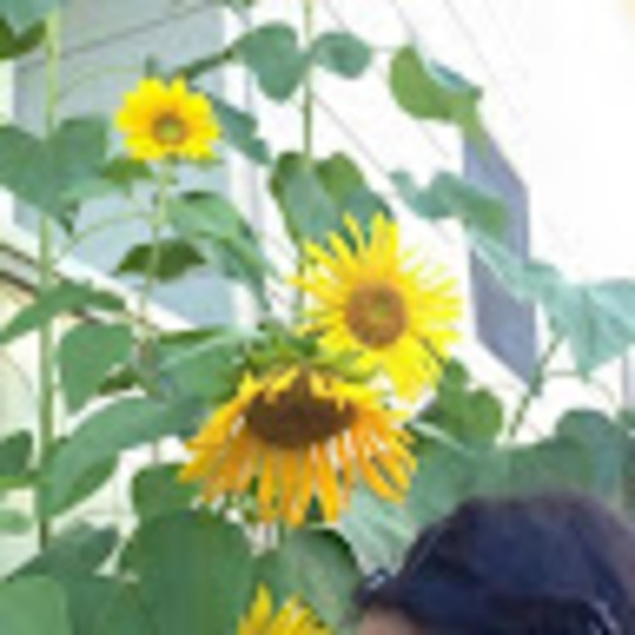 Profile Picture of Dulce Zlotek (@mymuseflori) on Poshmark