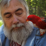 Profile Picture of Bob Neely (@bobneely818) on Youtube
