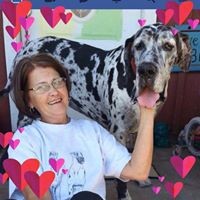 Profile Picture of Paula Powell (@paula-powell-27) on Quora