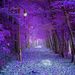 Profile Picture of Kona Alberta (@konaalberta) on Pinterest