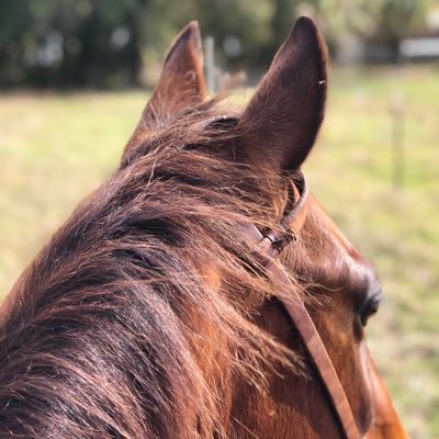 Profile Picture of Alicia Keen (@AliciaKeen8) on Twitter