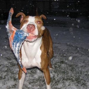 Profile Picture of Coral Scott (@coralpuppy) on Myspace