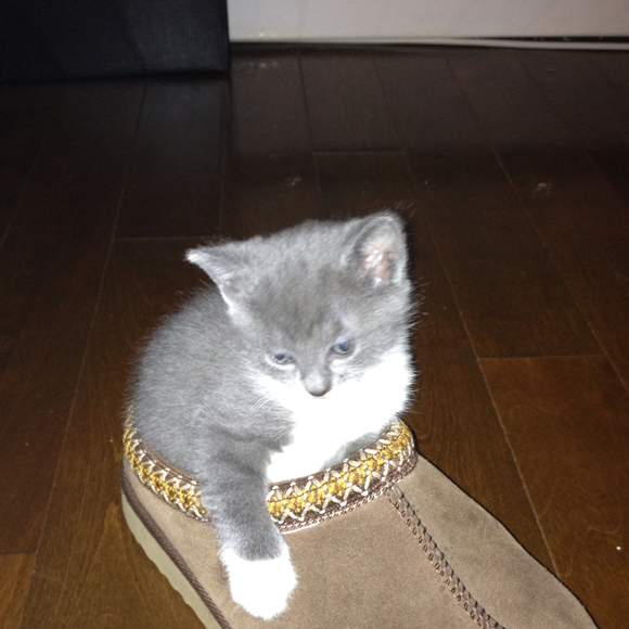 Profile Picture of Kris Bean (@krisbean) on Poshmark