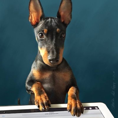 Profile Picture of Mark Newman (@MarkNewman17) on Twitter