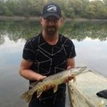 Profile Picture of David Raffelsberger (@draffelsberger) on Instagram