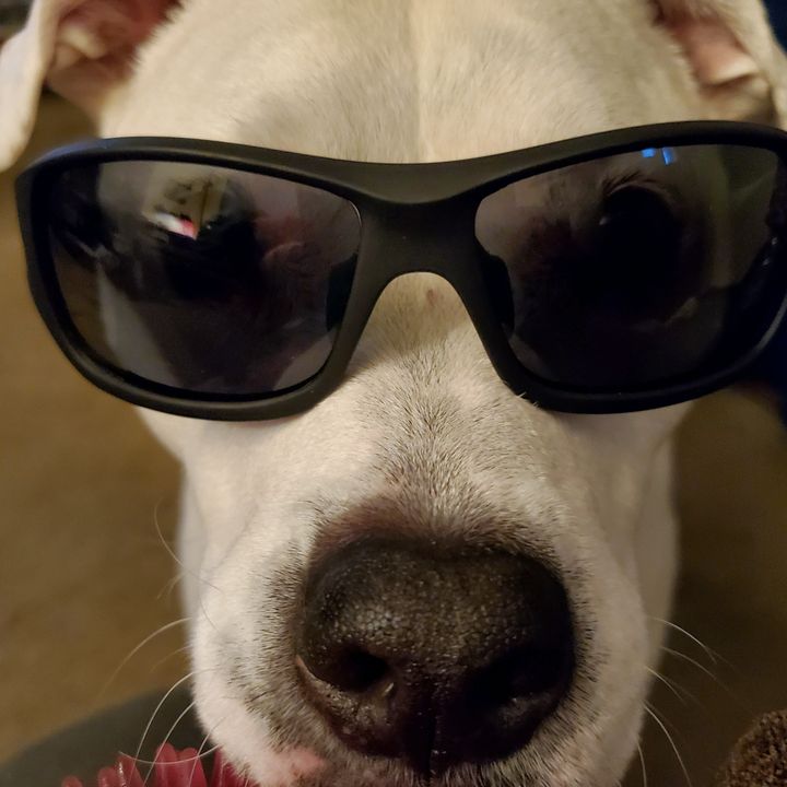 Profile Picture of Shannon (@tribblemom11) on Tiktok