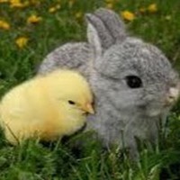 Profile Picture of Kevin Palumbo (@kevin-palumbo-8) on Quora