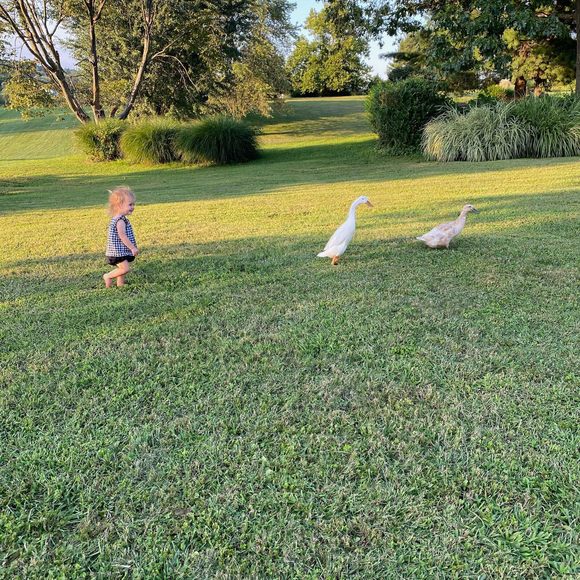 Profile Picture of Erin Tobin (@etobin226) on Poshmark