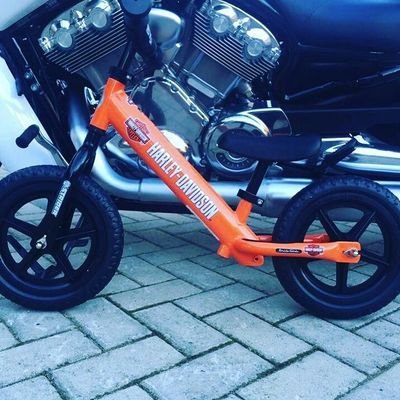 Profile Picture of Andres Tejeda (@andrestejeda81) on Twitter