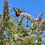 Profile Picture of Kathleen Gulnac (@kathleen.gulnac) on Facebook