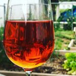 Profile Picture of Jason Woodside (@jason_ferments_things) on Instagram