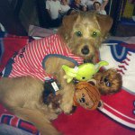 Benedict Virgil - Instagram Profile Picture of Benedict Virgil (@bennyb0o_virgil) on Instagram