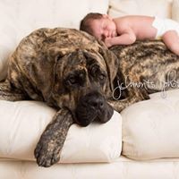 Profile Picture of Victor Perez (@victor-perez-75) on Quora