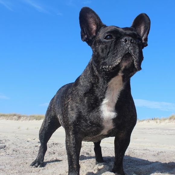 Profile Picture of Eric De march (@diksa00) on Poshmark