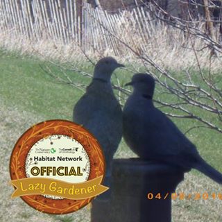 Profile Picture of Cathy Kent (@cathy.kent.39) on Facebook