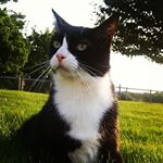 Profile Picture of Alex Ferrell (@alex_ferrell21) on Instagram