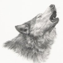 Profile Picture of Adam Swinford (@swinford_adam) on Twitter