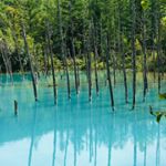 Profile Picture of 森山 (@karl_taito_1103) on Instagram