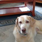 Profile Picture of Karen Spain (@spain2860) on Instagram