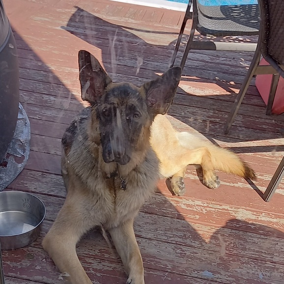 Profile Picture of Patrick Spagnolo (@patrickspagnolo) on Poshmark