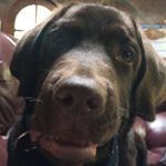 Profile Picture of Jeffrey Truong (@chinksinparadise) on Instagram