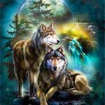 Profile Picture of bob castle (@castle_bob) on Instagram