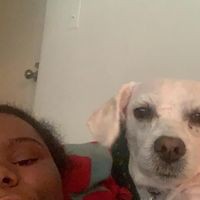 Profile Picture of Aaliyah Lucas (@aaliyah-lucas-13) on Quora