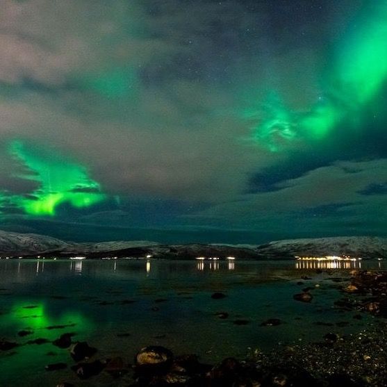 Profile Picture of daniellenestor4 (@daniellenestor4) on Tiktok