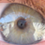 Profile Picture of Menica Mameli (@menica) on Flickr