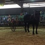 Profile Picture of Thomas Donadio (@donadiothomas) on Instagram