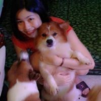 Profile Picture of Vi Huynh (@vi-huynh-18) on Quora