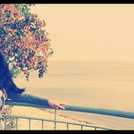 Profile Picture of Wynell Poplin (@summarywizard) on Instagram