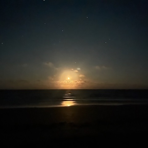 Profile Picture of Richard Fonseca (@fonz28) on Poshmark