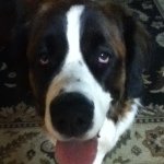 Profile Picture of Charlie McFarland (@charlie_m1237) on Instagram