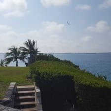 Andrew Decosta - Twitter Profile Picture of Andrew Decosta (@DecostaAndrew) on Twitter