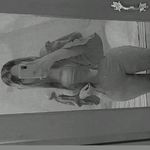 Profile Picture of Paola Sánchez ♡ (@pao.ssanchez) on Instagram