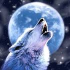 Profile Picture of   Vương Quốc Lý (@vuongsoii)... (@vuongsoii) on Tiktok