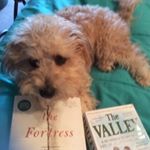 Profile Picture of Rhonda (@rhondareads) on Instagram