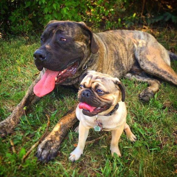 Profile Picture of Decker Secord (@tupacalypse420) on Poshmark