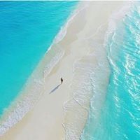 Profile Picture of Swathi Krishnan (@swathikrishnana) on Pinterest