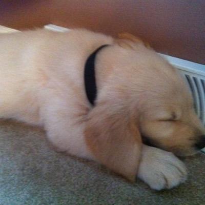 Profile Picture of Benjamin Manns (@manns_benjamin) on Twitter