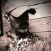 Profile Picture of Adam Storie (@adam.storie) on Facebook
