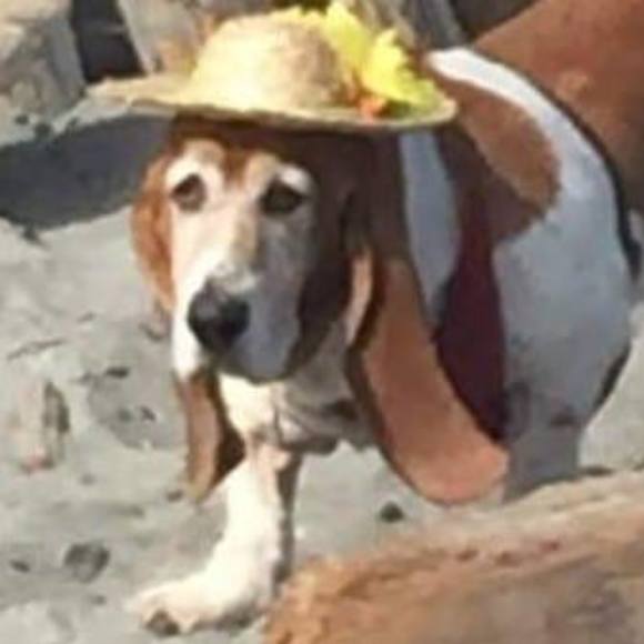 Profile Picture of Lee Stempski (@leestemp) on Poshmark