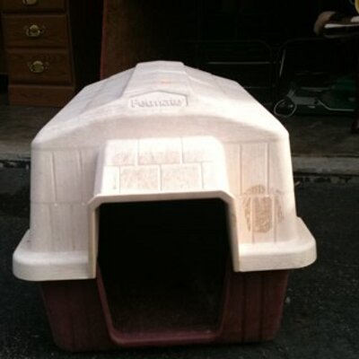 Profile Picture of Ray Lutz (@razorRayBob) on Twitter