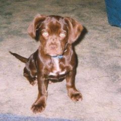 Profile Picture of phyllisschreckeng (@phyllisschreckeng) on Tiktok