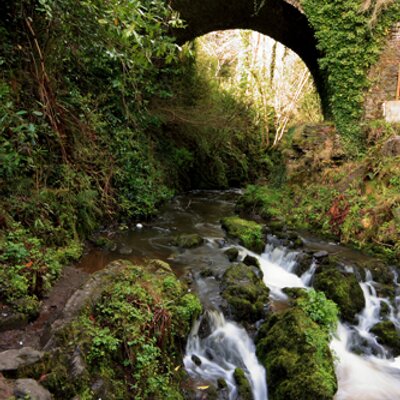 Profile Picture of Kevin Brogan (@photobrogan) on Twitter