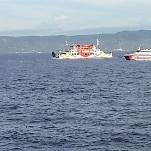 Profile Picture of Manuel Picazo (@ManuelPicazo12) on Twitter