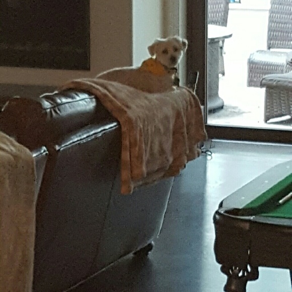 Ronan Macrunnels - Poshmark Profile Picture of Ronan Macrunnels (@ronanmac) on Poshmark